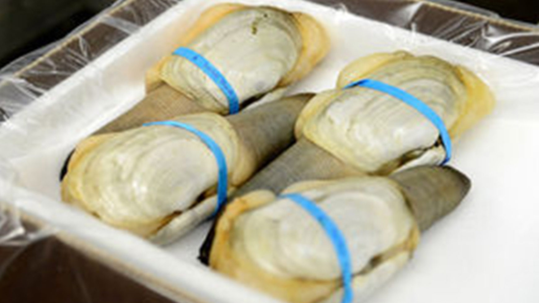 China lifts ban of US West Coast shellfish